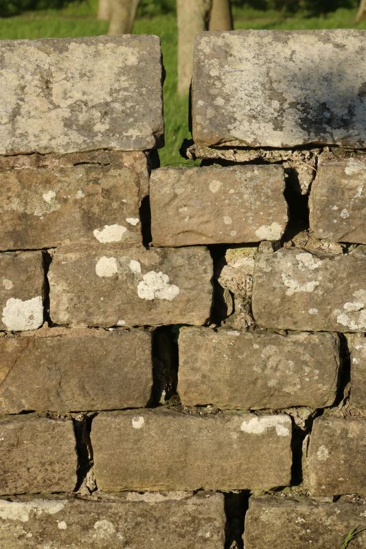 Stone Wall Repair in Amma, WV